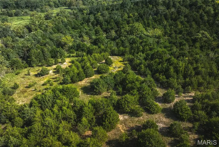 0 Sapphire Drive, Laquey, MO 65583 - Image #3