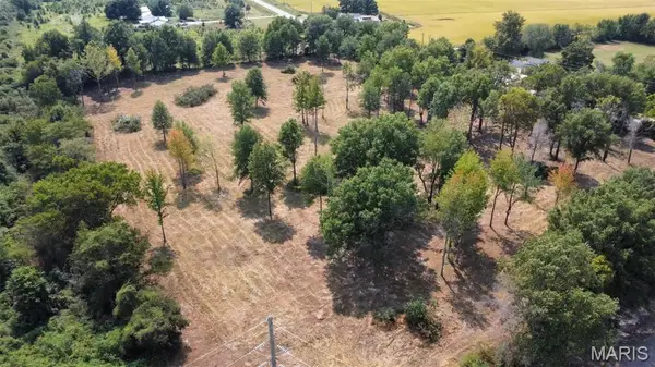 0 Highway 51, Fisk, MO 63940