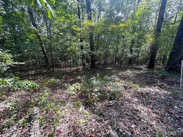 0 Lot 39, Tomaro Trail, Poplar Bluff, MO 63901