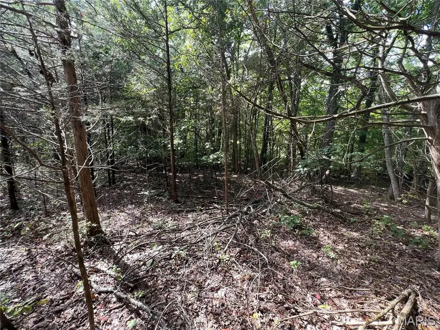 9909 Sassafras Drive, Raintree Plantation, MO 63016 - Image #2