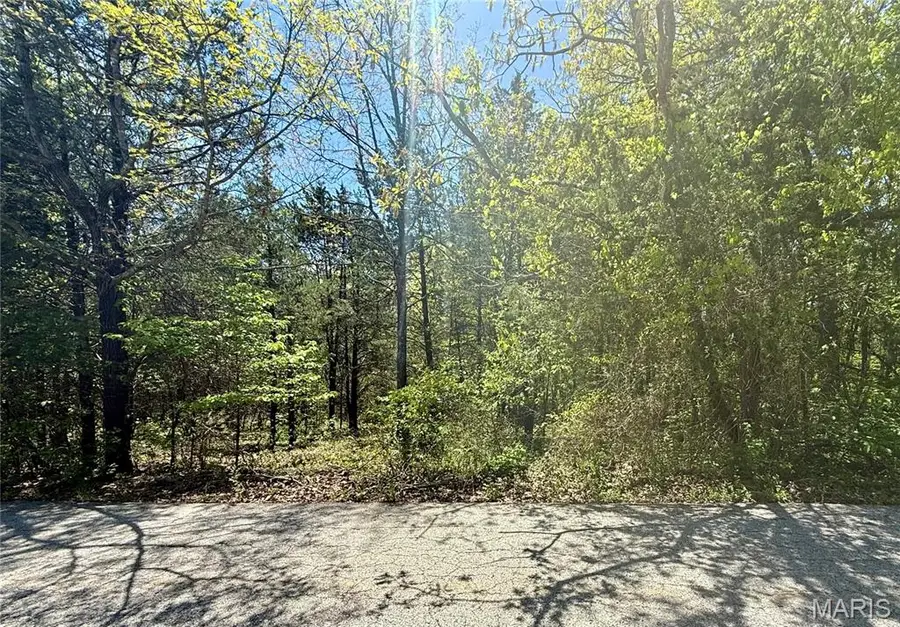 9909 Sassafras Drive, Hillsboro, MO 63050 - #3