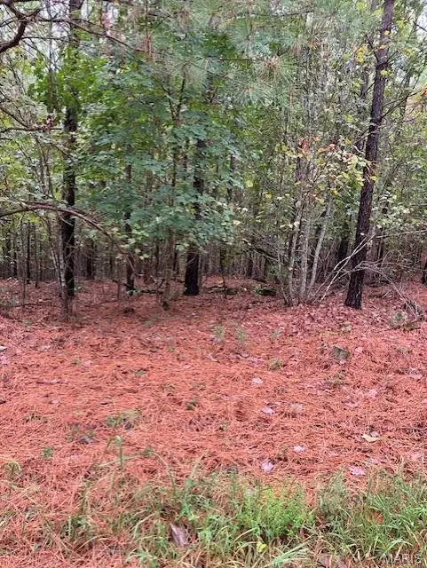 28 Madison Cr 410, Fredericktown, MO 63645 - Image #3