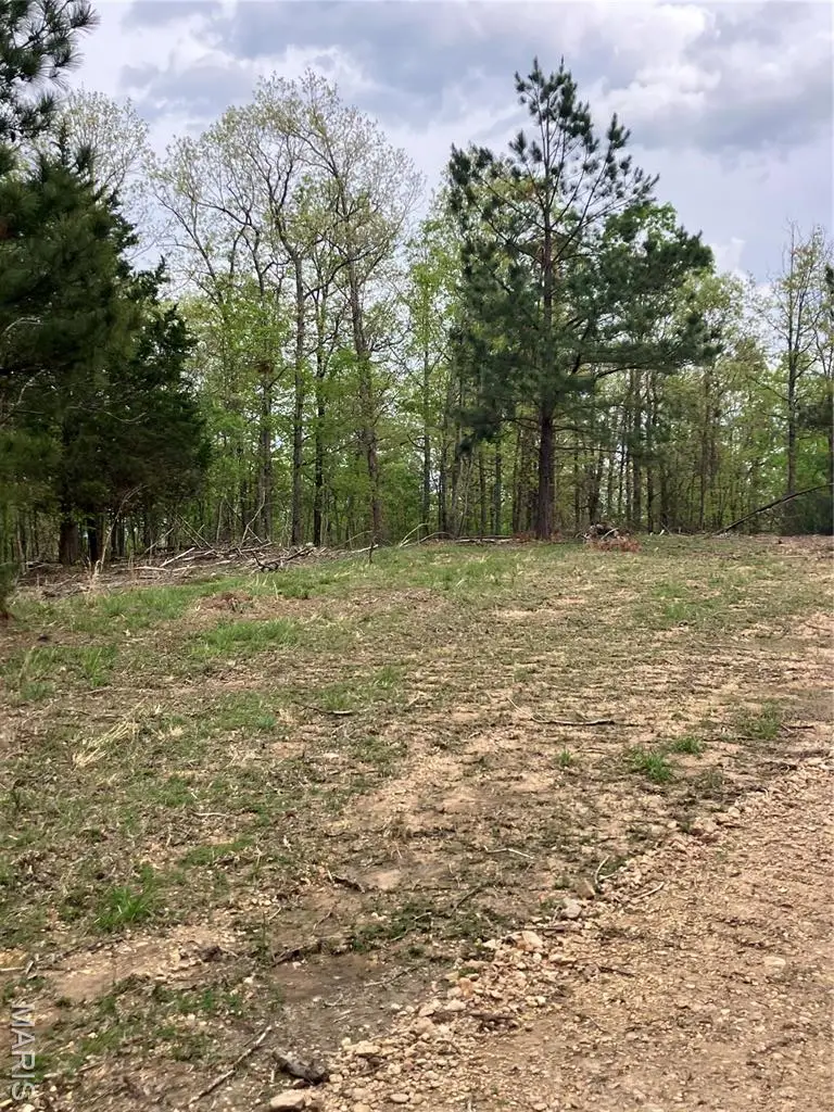 29 Madison Cr 410, Fredericktown, MO 63645 - Image #1