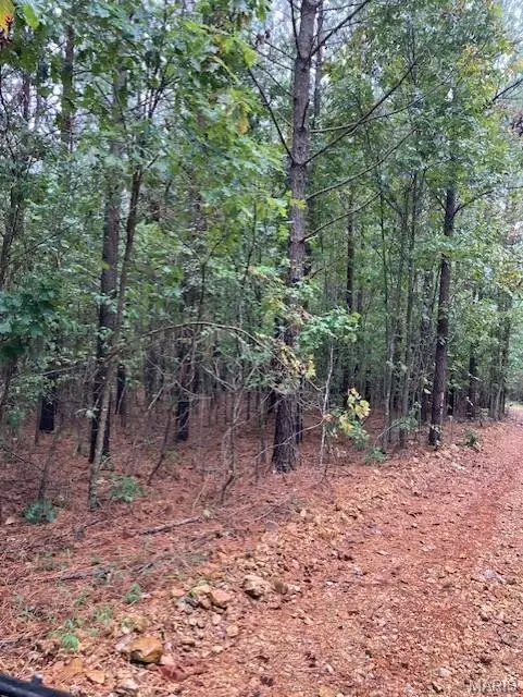 29 Madison Cr 410, Fredericktown, MO 63645 - Image #2