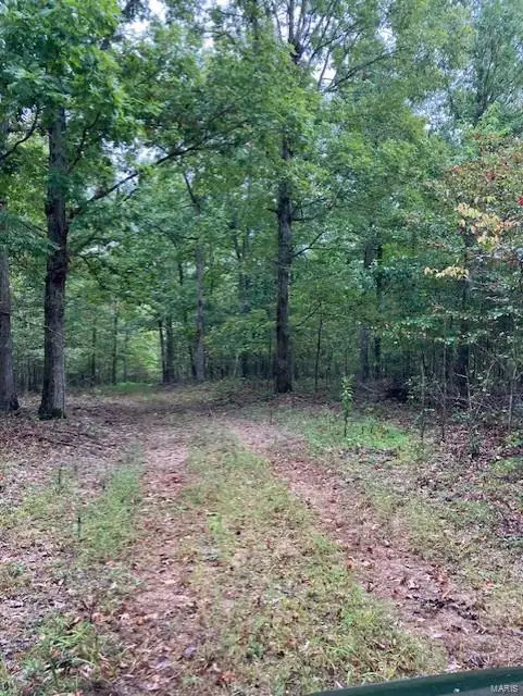 30 Madison Cr 410, Fredericktown, MO 63645 - Image #2