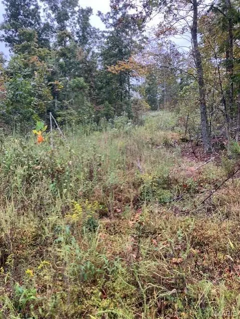 34 Madison Cr 410, Fredericktown, MO 63645 - Image #3