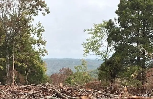 46 Madison Cr 410, Fredericktown, MO 63645 - Image #1