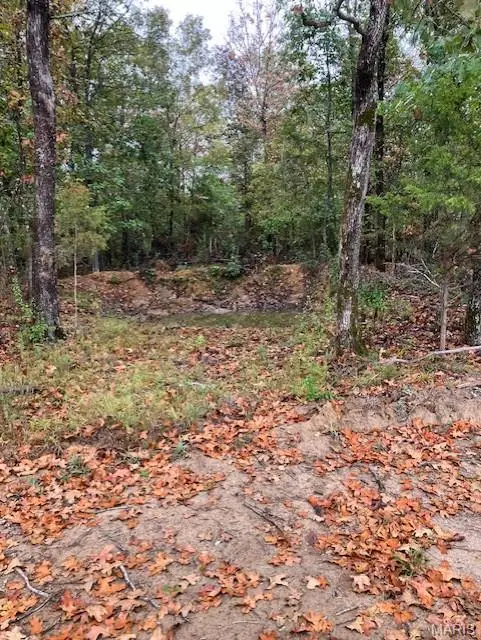 47 Madison Cr 410, Fredericktown, MO 63645 - Image #2