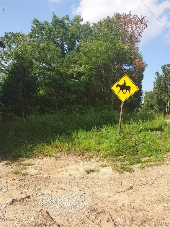 0 Alpine Road, Grubville, MO 63041 - Image #3