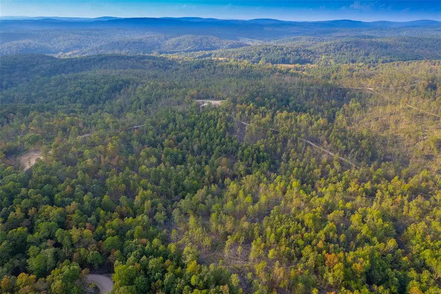 0 Madison Cr 411 (123) #123, Fredericktown, MO 63645 - Image #2