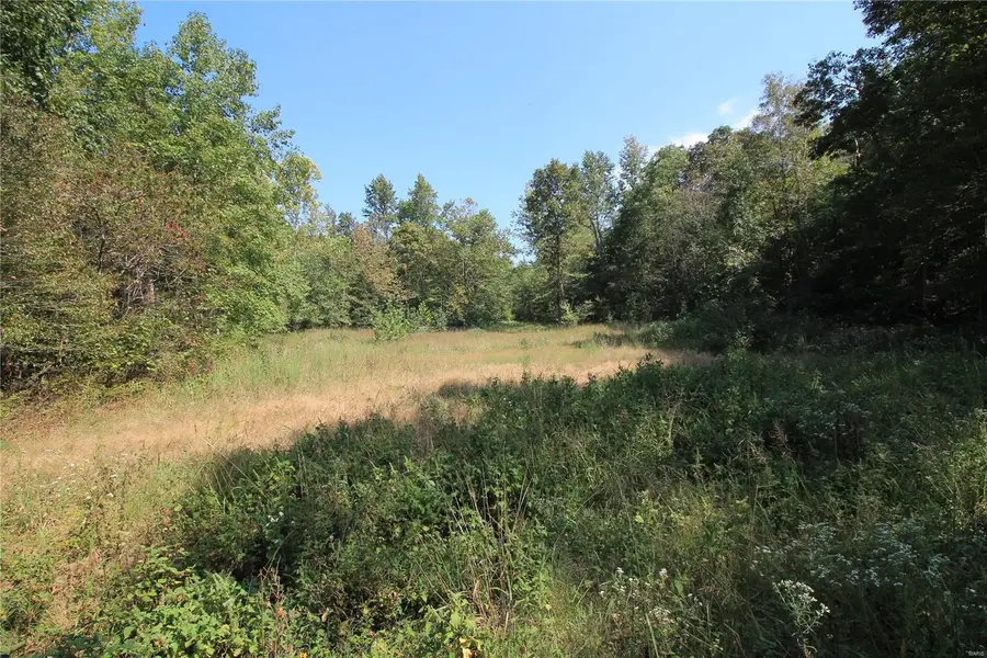 0 Madison Cr 410 (108) #108, Fredericktown, MO 63645 - Image #2