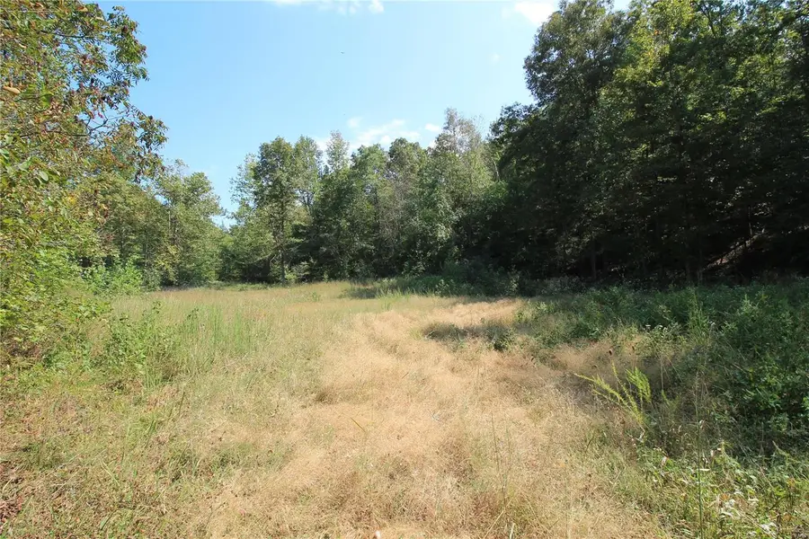 0 Madison Cr 410 (108) #108, Fredericktown, MO 63645 - Image #3