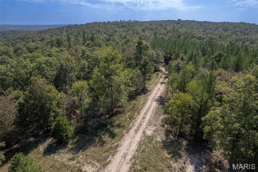 0 Madison Cr 411 (120) #120, Fredericktown, MO 63645 - Image #2