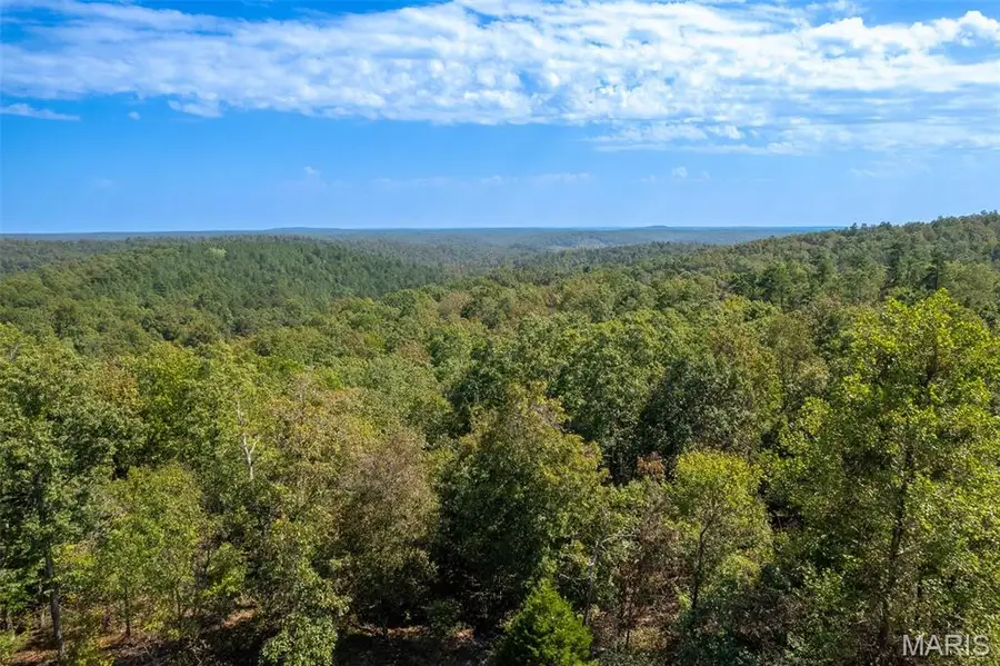 0 Madison Cr 411 (120) #120, Fredericktown, MO 63645 - Image #3