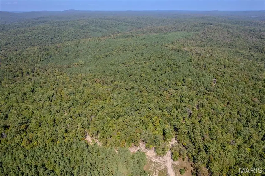 0 Madison Cr 411 (121) #121, Fredericktown, MO 63645 - Image #2