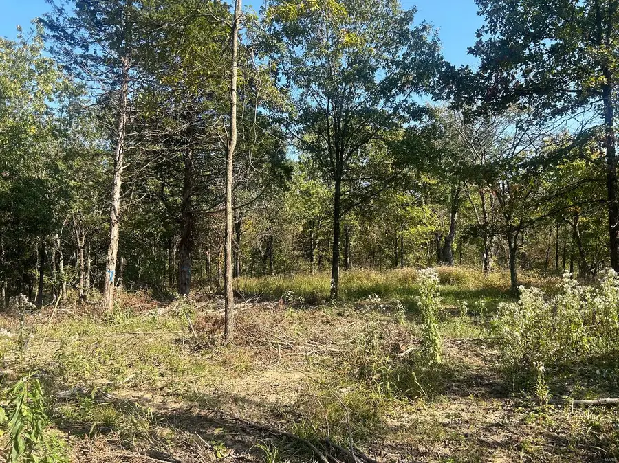 0 Lot #31 Fawn Hollow Court, Foristell, MO 63348 - Image #2