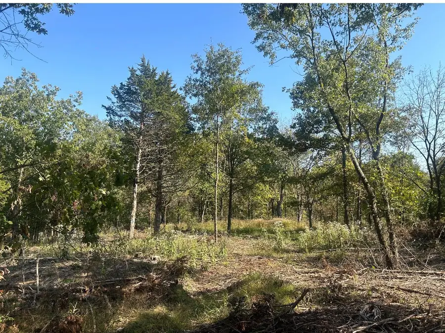 0 Lot #31 Fawn Hollow Court, Foristell, MO 63348 - Image #3