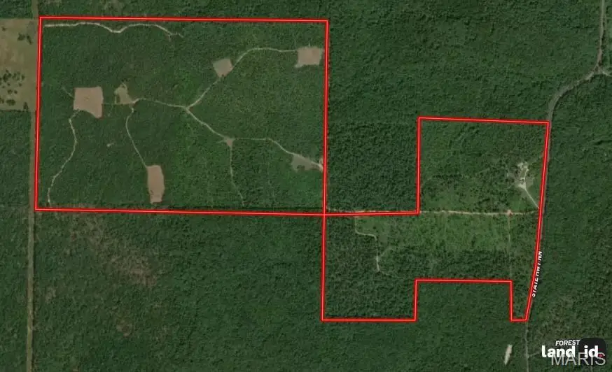 1743 Ripley Route Nn, Doniphan, MO 63935 - Image #3