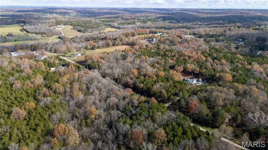 449 Woodsorell Drive, Hillsboro, MO 63050 - Image #3