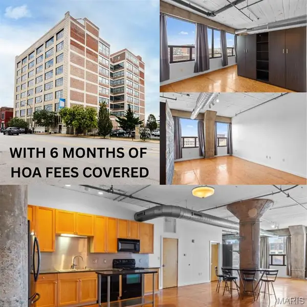 2020 Washington Avenue #412, St Louis, MO 63103