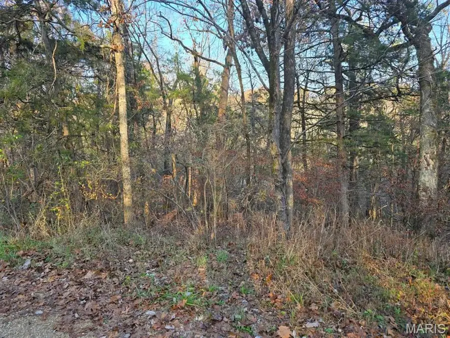 1 Fox Lane, Merriam Woods, MO 65740 - Image #2