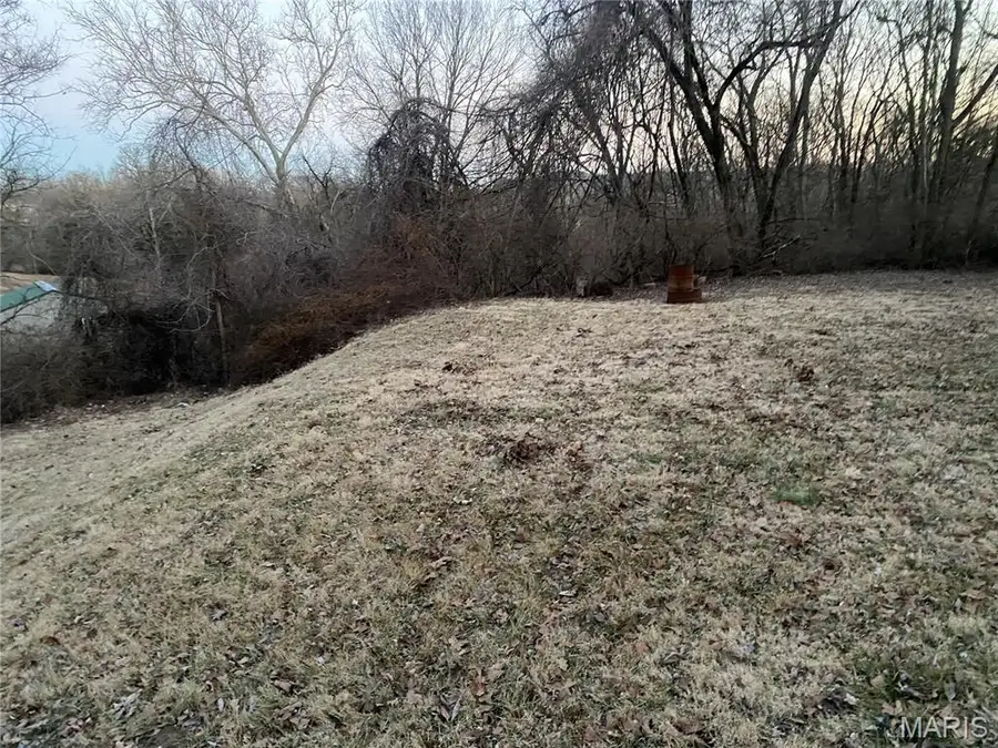 1411 Crystal Heights Road, Crystal City, MO 63019 - #2