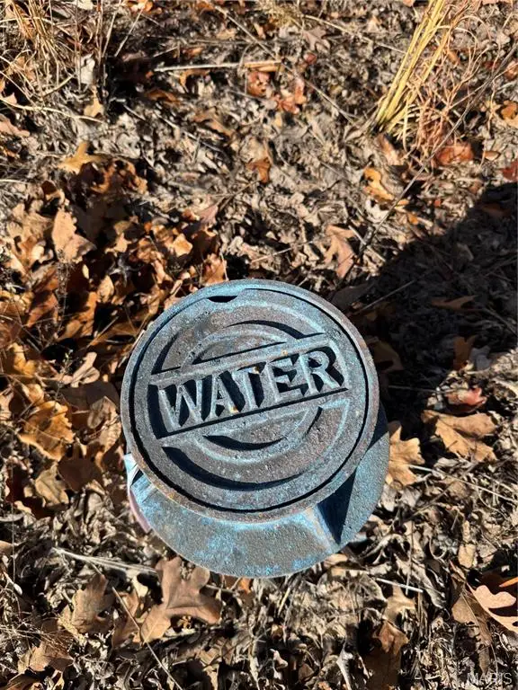 0 Highway 28, Dixon, MO 65459 - Image #3