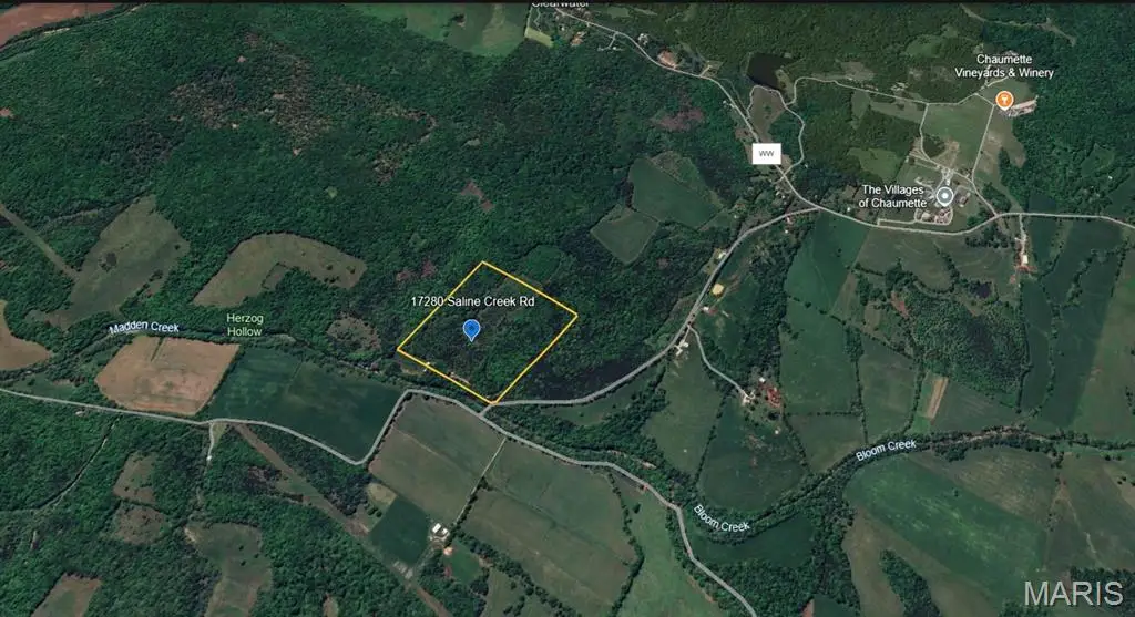 17280 Saline Creek Road, Saline, MO 63670 - #1