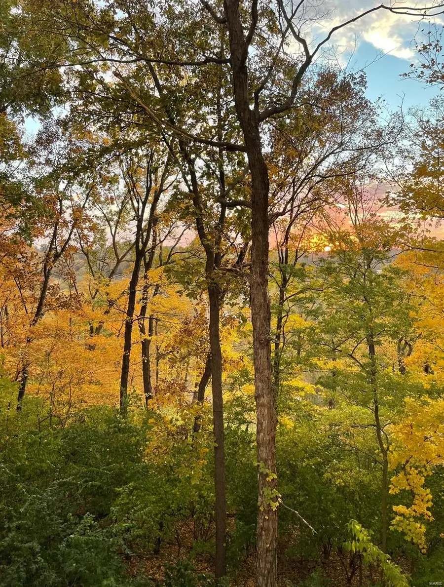 3 Park Lawn Drive, Fenton, MO 63026 - Image #3