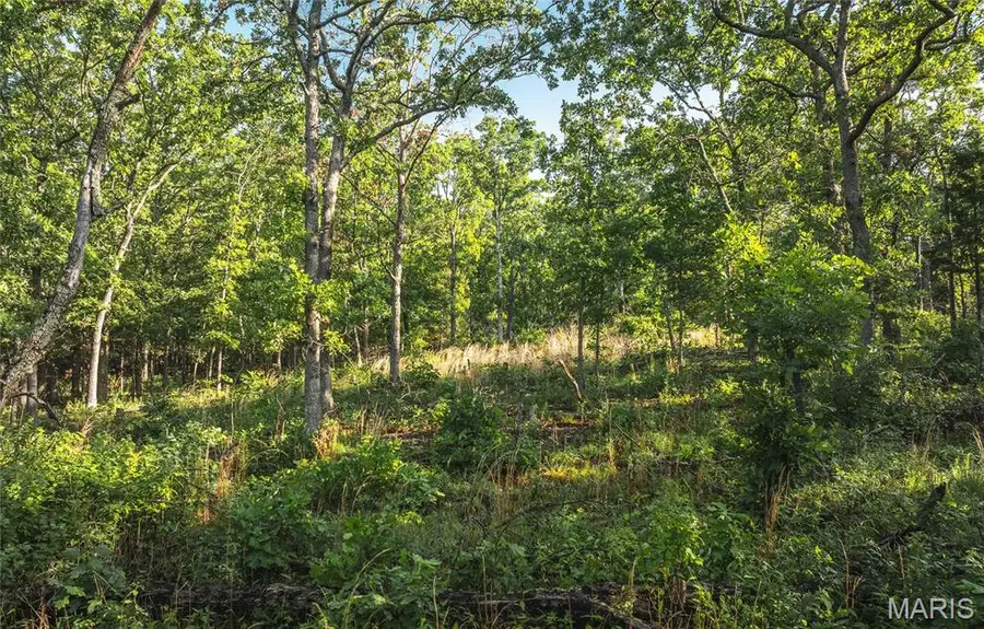 0 Highway B 38, Ellington, MO 63638 - Image #2