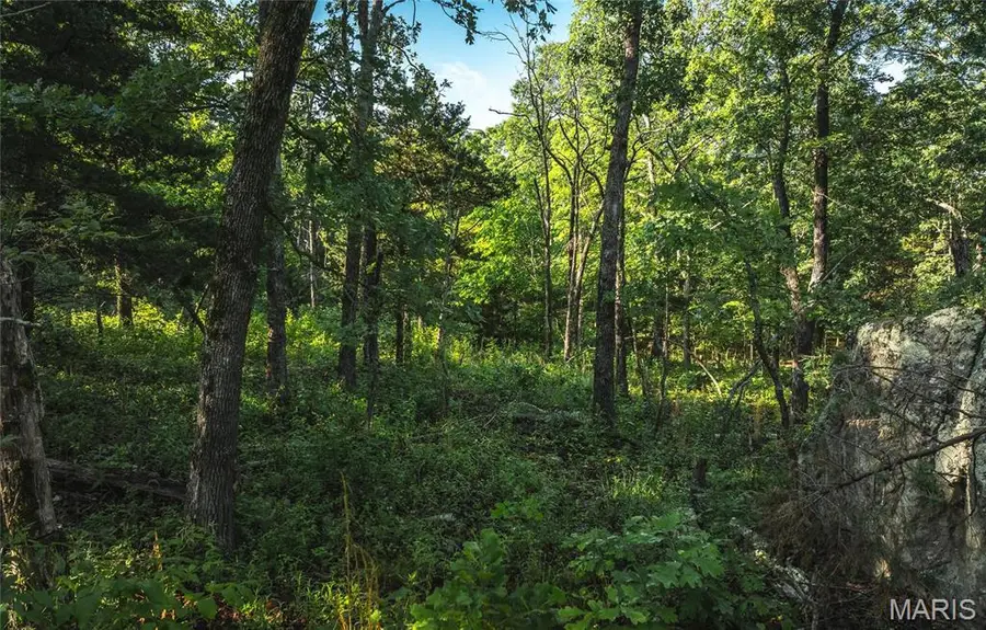 0 Highway B 38, Ellington, MO 63638 - Image #3