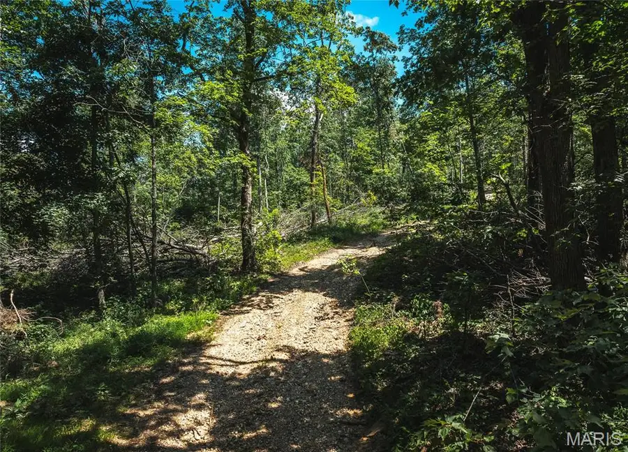 0 Highway B 54, Ellington, MO 63638 - Image #3