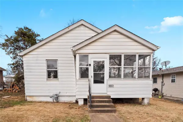 503 S 16th Street, Belleville, IL 62220