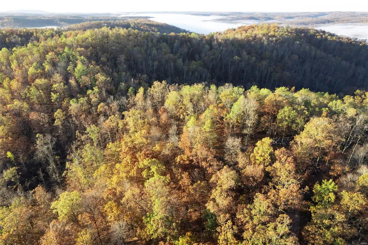 0 County Road 336, Annapolis, MO 63620 - Image #1