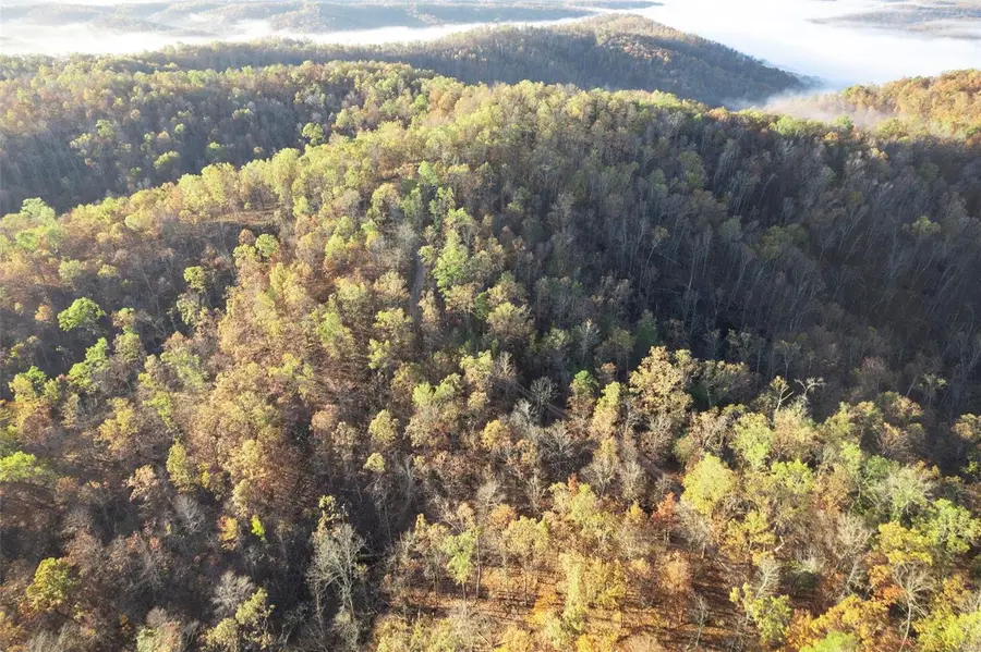 0 County Road 336, Annapolis, MO 63620 - Image #2