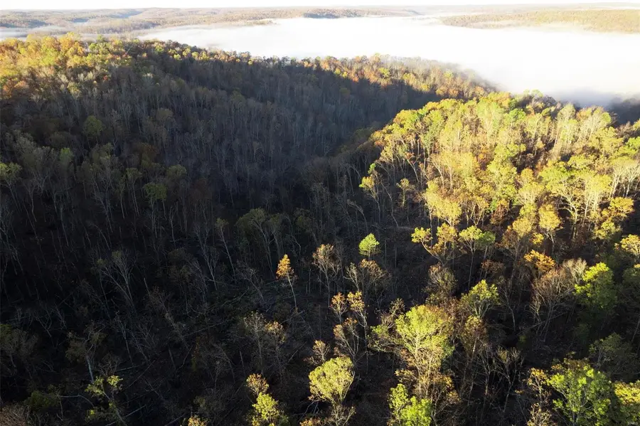 0 County Road 336, Annapolis, MO 63620 - Image #3