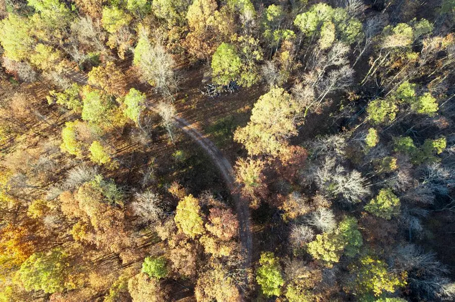 0 County Road 336, Annapolis, MO 63620 - Image #3