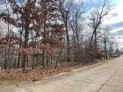 3636 Mclane Drive, Poplar Bluff, MO 63901 - Image #2