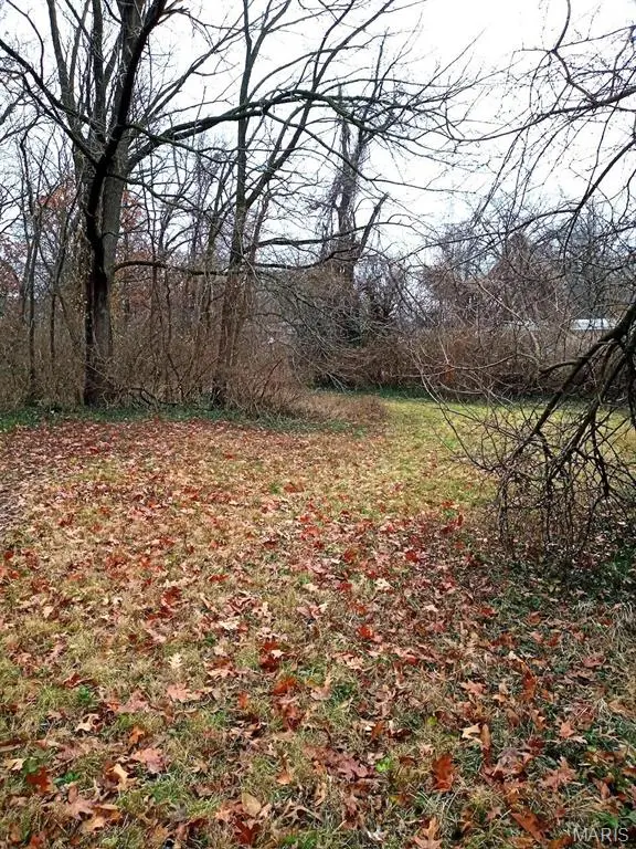 4050 Cranberry Lane, Saint Louis, MO 63121 - Image #1