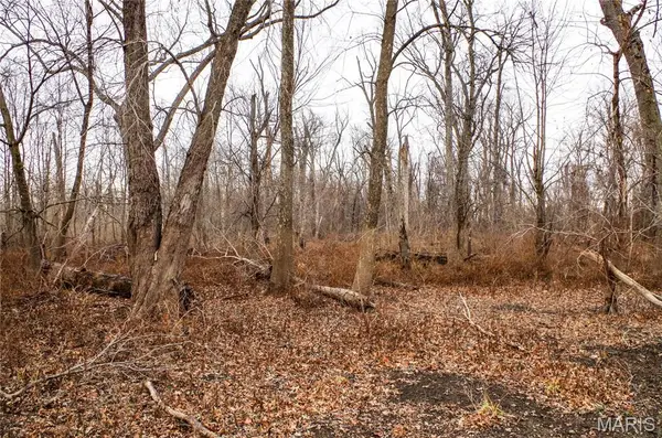 0 Pike 202, Annada, MO 63330