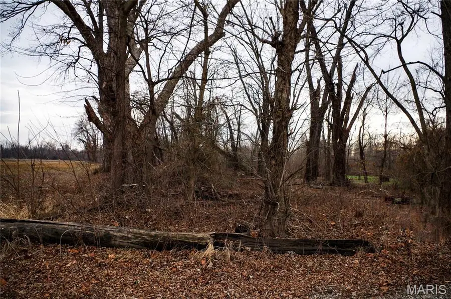 0 Pike 202, Annada, MO 63330 - Image #3