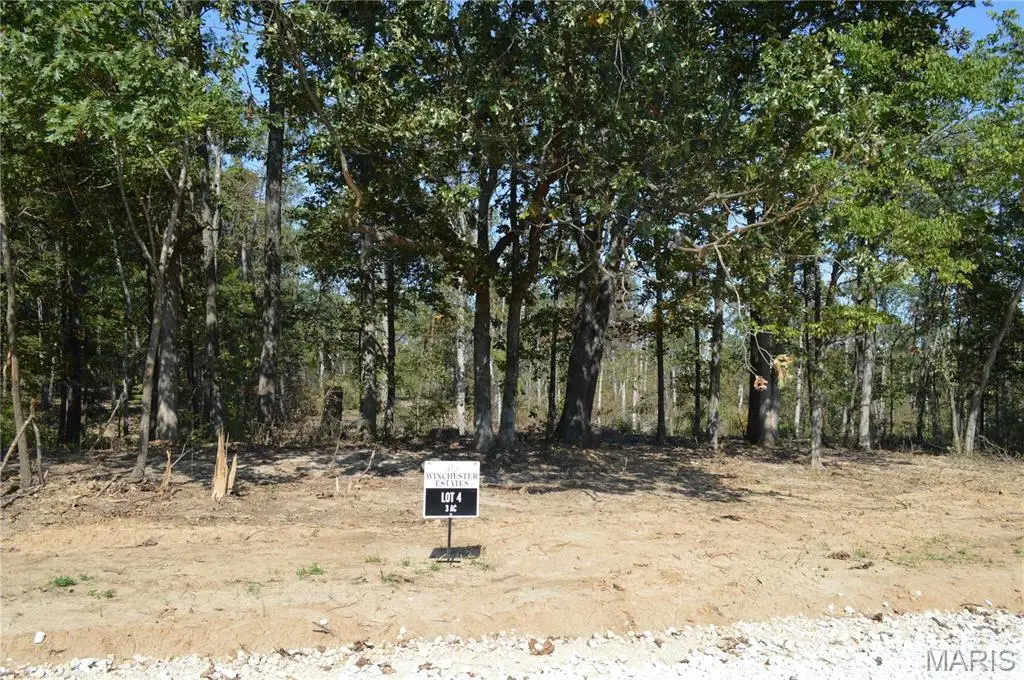 11307 Windsor Place, Wright City, MO 63390 - #1