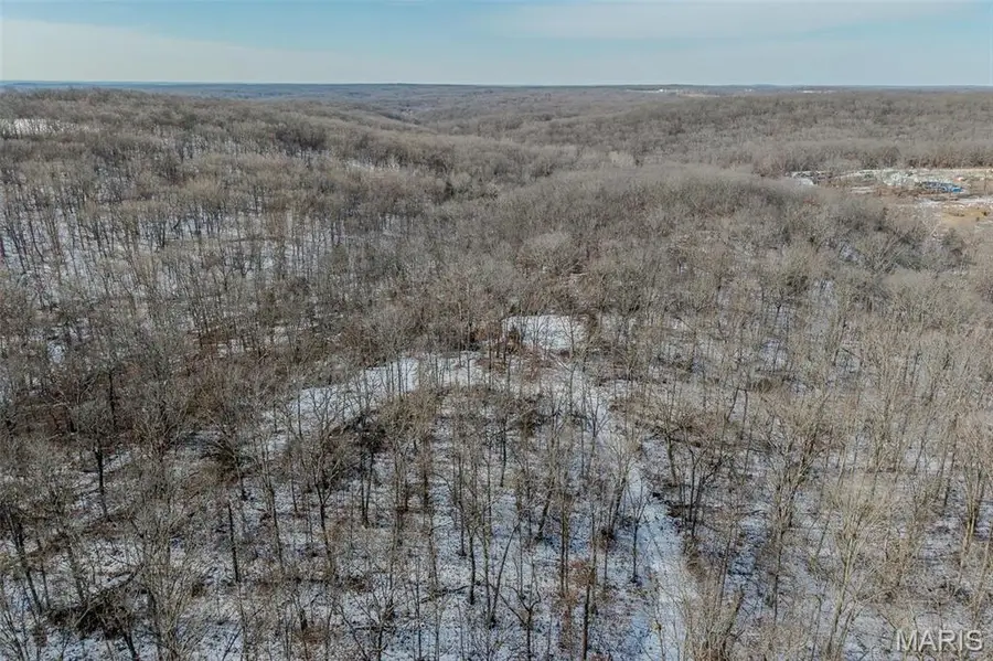 135 Hwy 135, Buffalo, MO 65078 - Image #3