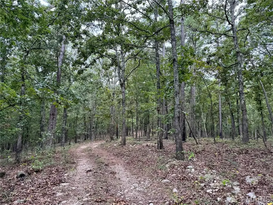 689 Hoot Owl Lane, Grandin, MO 63943 - Image #3