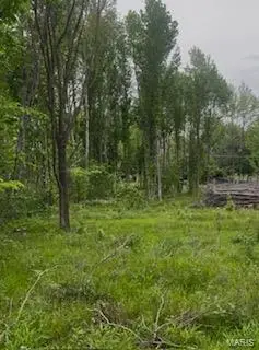 0 Tamarak Lane, Dexter, MO 63841 - Image #1