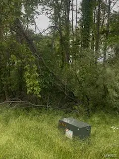 0 Tamarak Lane, Dexter, MO 63841 - Image #2