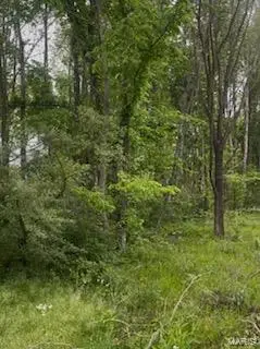 0 Tamarak Lane, Dexter, MO 63841 - Image #3