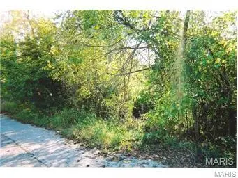 54 Veterans Dr. Drive, De Soto, MO 63020