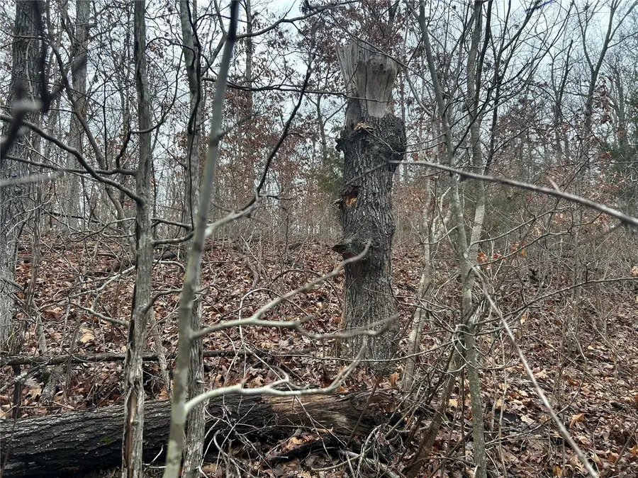 Address Withheld By Seller, Newburg, MO 65550 - Image #2