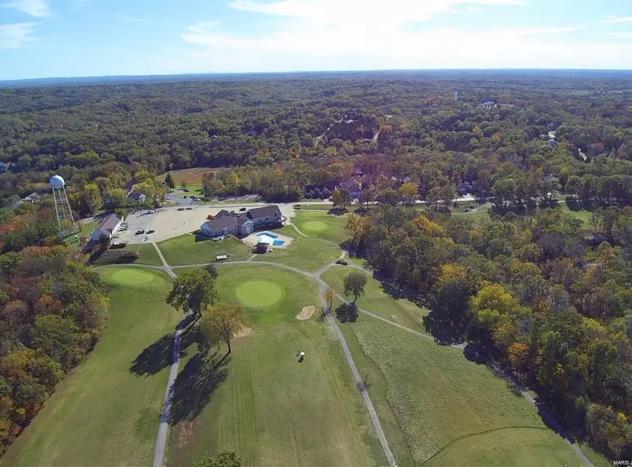 10101 Lake Ridge Court, Hillsboro, MO 63050 - Image #3